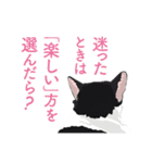 背中を押してくれる猫たちの一言（個別スタンプ：32）