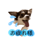 ビタまろ（個別スタンプ：4）
