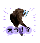 ビタまろ（個別スタンプ：8）