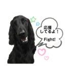 毎日使える！らえるスタンプ♡(犬)（個別スタンプ：8）