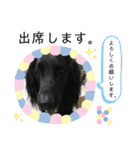 毎日使える！らえるスタンプ♡(犬)（個別スタンプ：22）