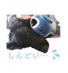 毎日使える！らえるスタンプ♡(犬)（個別スタンプ：26）
