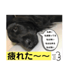 毎日使える！らえるスタンプ♡(犬)（個別スタンプ：27）