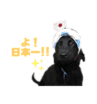 毎日使える！らえるスタンプ♡(犬)（個別スタンプ：33）