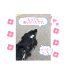 毎日使える！らえるスタンプ♡(犬)（個別スタンプ：37）