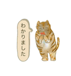 猫から日常あいさつ（個別スタンプ：12）