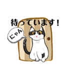 猫から日常あいさつ（個別スタンプ：30）