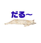 ごまぞースタンプスペシャル（個別スタンプ：9）