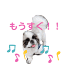 たぽ2（個別スタンプ：12）