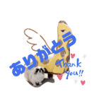たぽ2（個別スタンプ：16）
