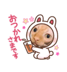 スフィンクスの桃乃助（個別スタンプ：8）