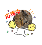 ぷくリン（個別スタンプ：1）