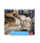 ぷくリン（個別スタンプ：2）