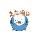 まんまるなインコ（個別スタンプ：1）