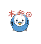 まんまるなインコ（個別スタンプ：4）