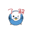 まんまるなインコ（個別スタンプ：5）