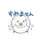 まんまるなインコ（個別スタンプ：6）