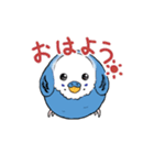 まんまるなインコ（個別スタンプ：9）