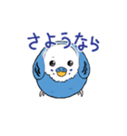 まんまるなインコ（個別スタンプ：12）