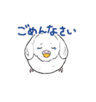 まんまるなインコ（個別スタンプ：13）