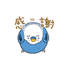 まんまるなインコ（個別スタンプ：18）