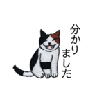 三毛猫にゃーのねこ刺繍スタンプ3（個別スタンプ：4）