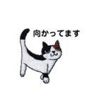 三毛猫にゃーのねこ刺繍スタンプ3（個別スタンプ：14）