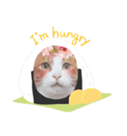 猫かぶりしてみた（個別スタンプ：15）
