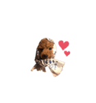 犬のちっぷ隊長（個別スタンプ：16）