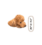 犬のちっぷ隊長（個別スタンプ：21）