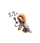 犬のちっぷ隊長（個別スタンプ：23）
