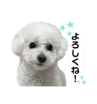 るくサん（個別スタンプ：1）