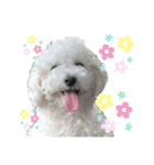 るくサん（個別スタンプ：5）