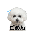るくサん（個別スタンプ：6）