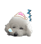 るくサん（個別スタンプ：8）
