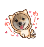 ポメラニアン♡シェリーの日常スタンプ1（個別スタンプ：7）
