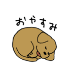 犬のんーちゃん（個別スタンプ：3）