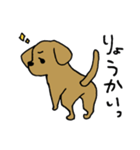 犬のんーちゃん（個別スタンプ：4）