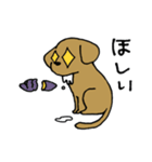 犬のんーちゃん（個別スタンプ：8）