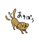 犬のんーちゃん（個別スタンプ：10）