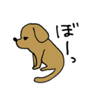 犬のんーちゃん（個別スタンプ：17）