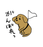 犬のんーちゃん（個別スタンプ：19）