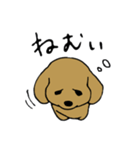 犬のんーちゃん（個別スタンプ：29）