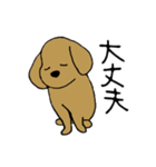 犬のんーちゃん（個別スタンプ：30）