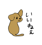 犬のんーちゃん（個別スタンプ：35）