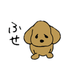 犬のんーちゃん（個別スタンプ：37）