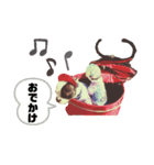 ★フレンチブルドッグ ★andy＆TOMOE★（個別スタンプ：10）