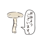 天然キノコのあいさつや敬語・丁寧語（個別スタンプ：17）