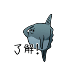 モラモラ（個別スタンプ：1）