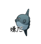 モラモラ（個別スタンプ：13）